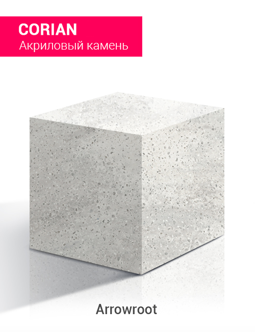 Arrowroot